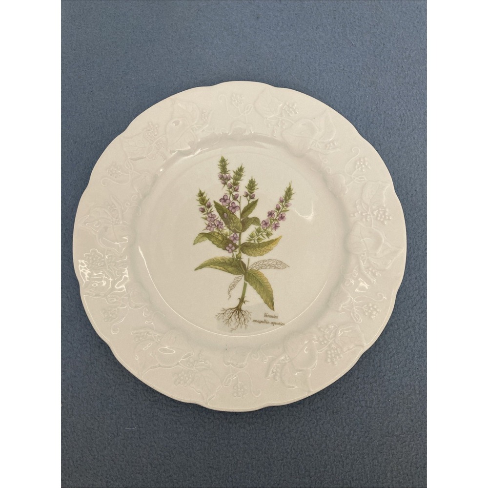 Dansk White "Veronica Anagallis-Aquatica" 9.75" Embossed Rim Luncheon Plate